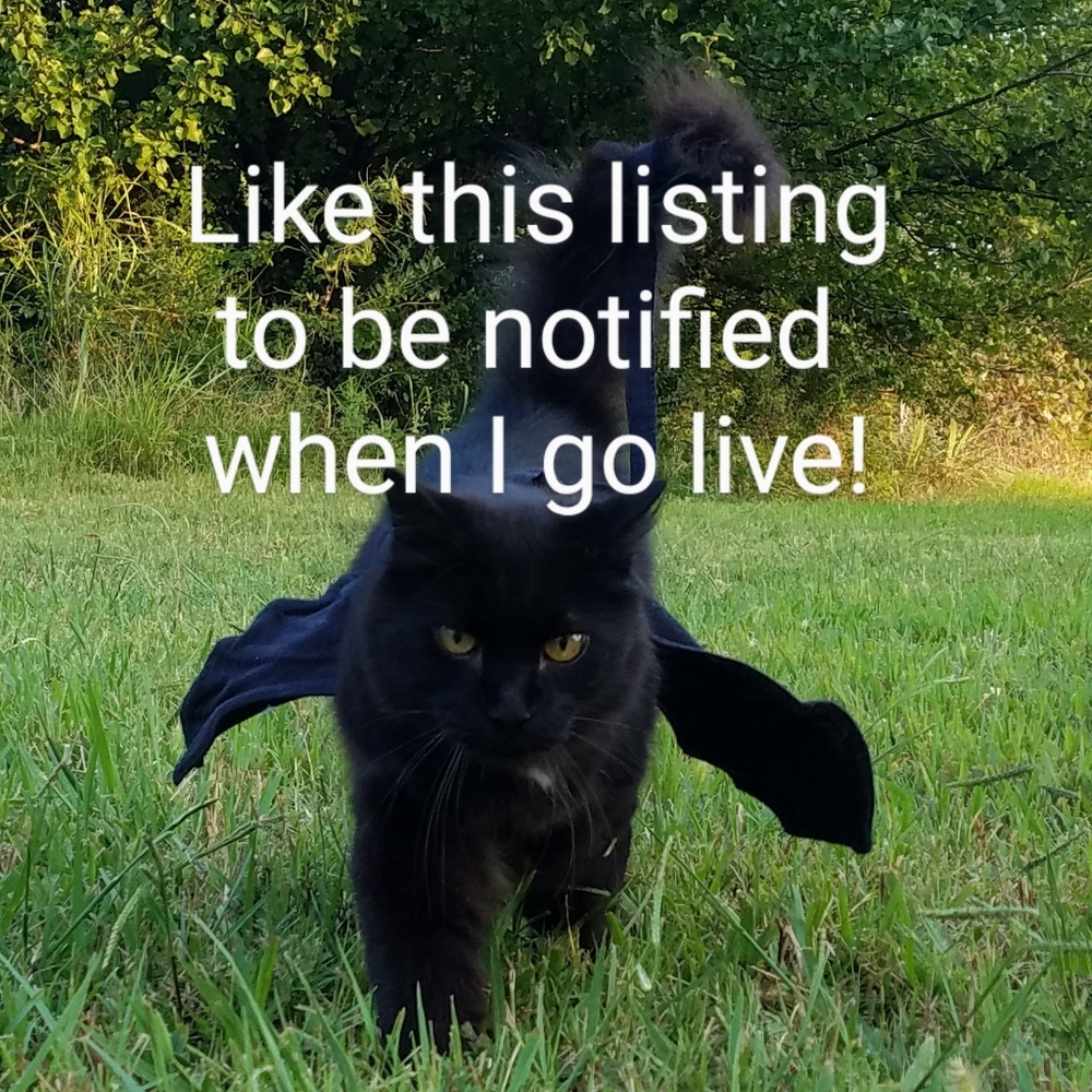 @thecatshack is live! Pop in and say Hi!